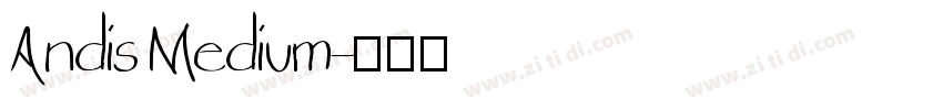 Andis Medium字体转换